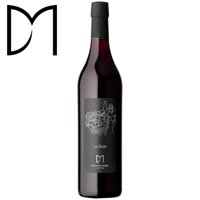 le divin morel-vins